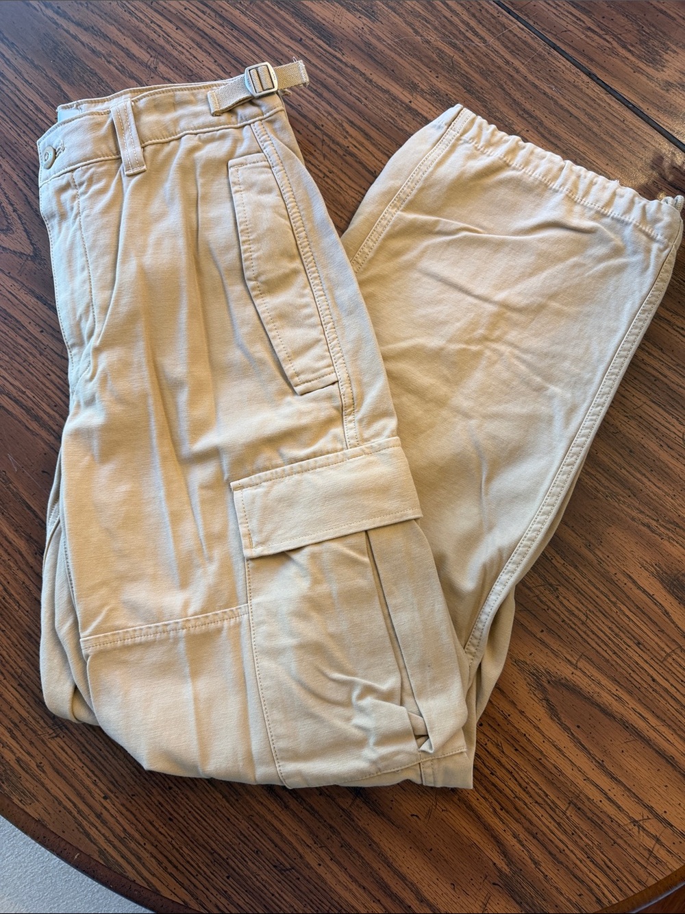 Aritzia Beige Cargo Pants